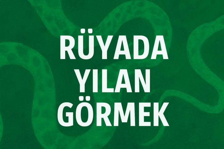 Rüyada yılan görmek