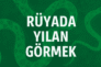 Rüyada yılan görmek